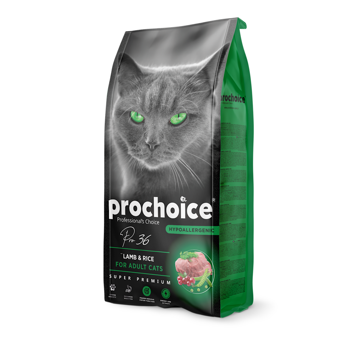 Irresistably Delicious Food Choices For Cats Prochoice Petfood