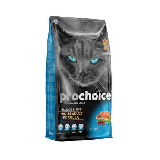 Irresistably Delicious Food Choices For Cats Prochoice Petfood
