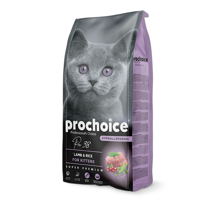 Irresistably Delicious Food Choices For Cats Prochoice Petfood