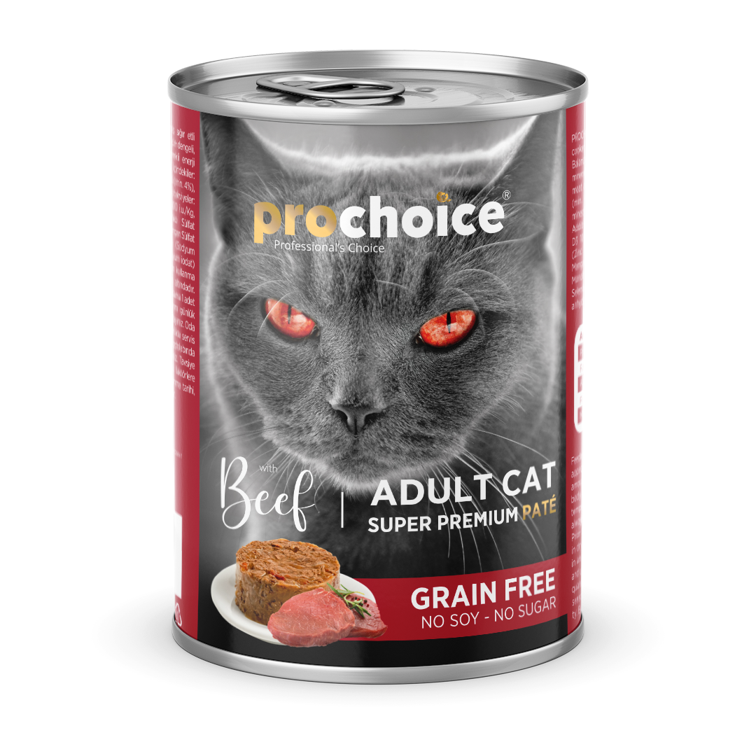 Irresistably Delicious Food Choices For Cats Prochoice Petfood