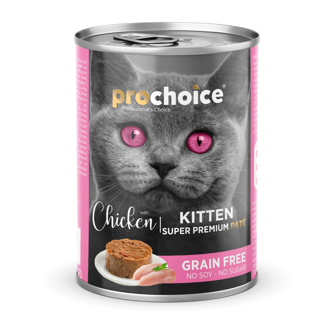 Irresistably Delicious Food Choices For Cats Prochoice Petfood