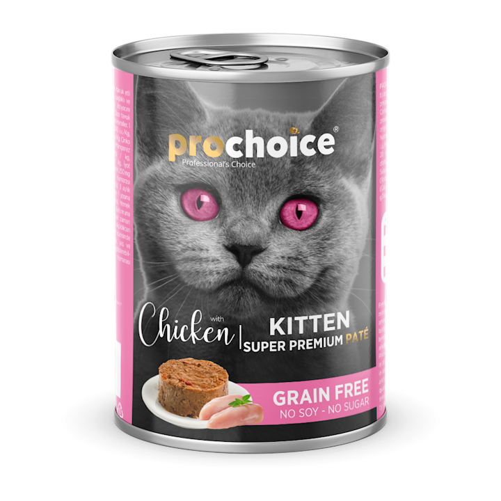 Irresistably Delicious Food Choices For Cats Prochoice Petfood