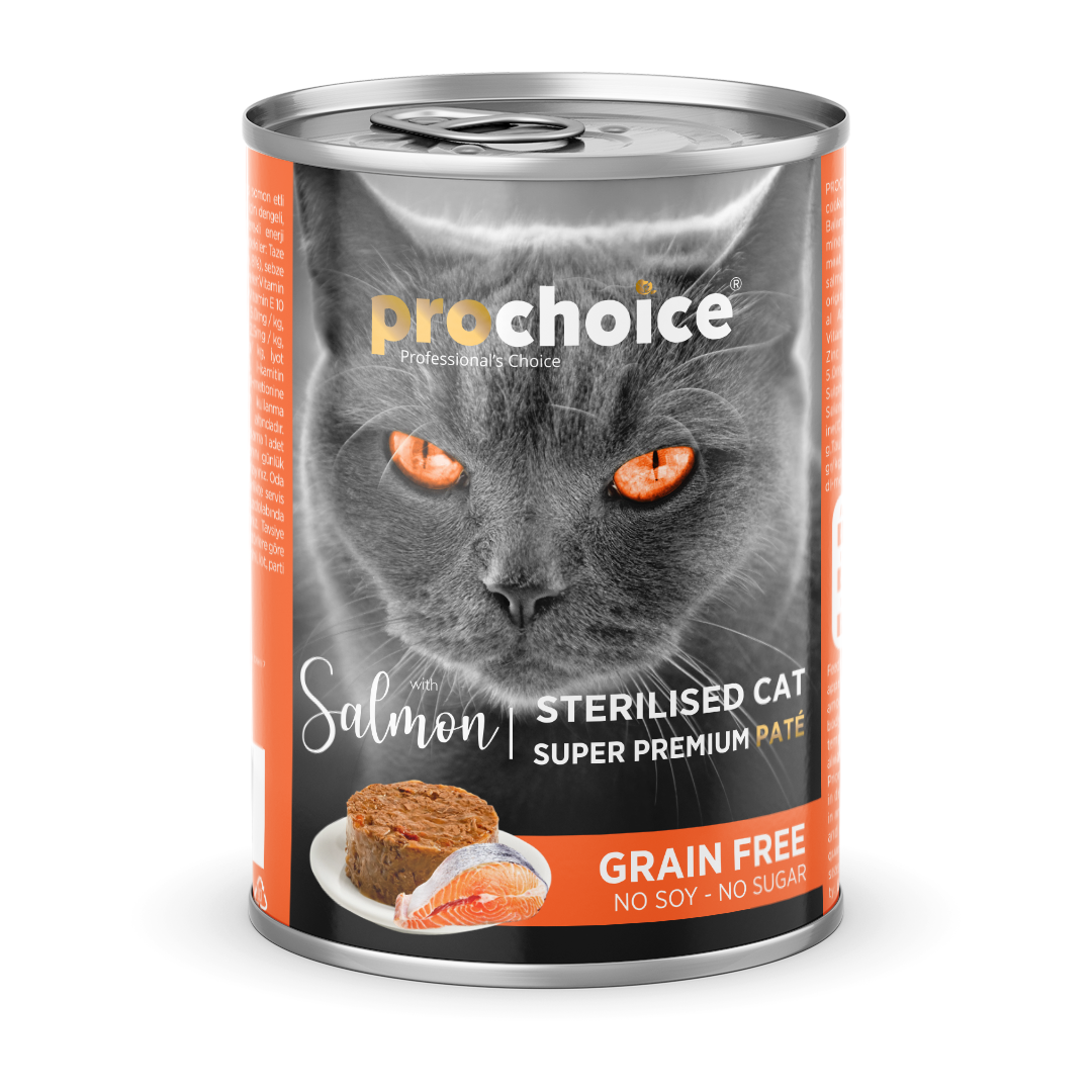 Irresistably Delicious Food Choices For Cats Prochoice Petfood