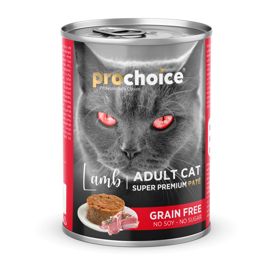 Irresistably Delicious Food Choices For Cats Prochoice Petfood