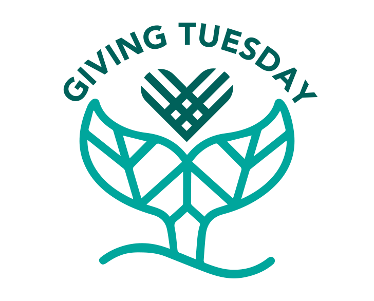 Empresas - Giving Tuesday PT