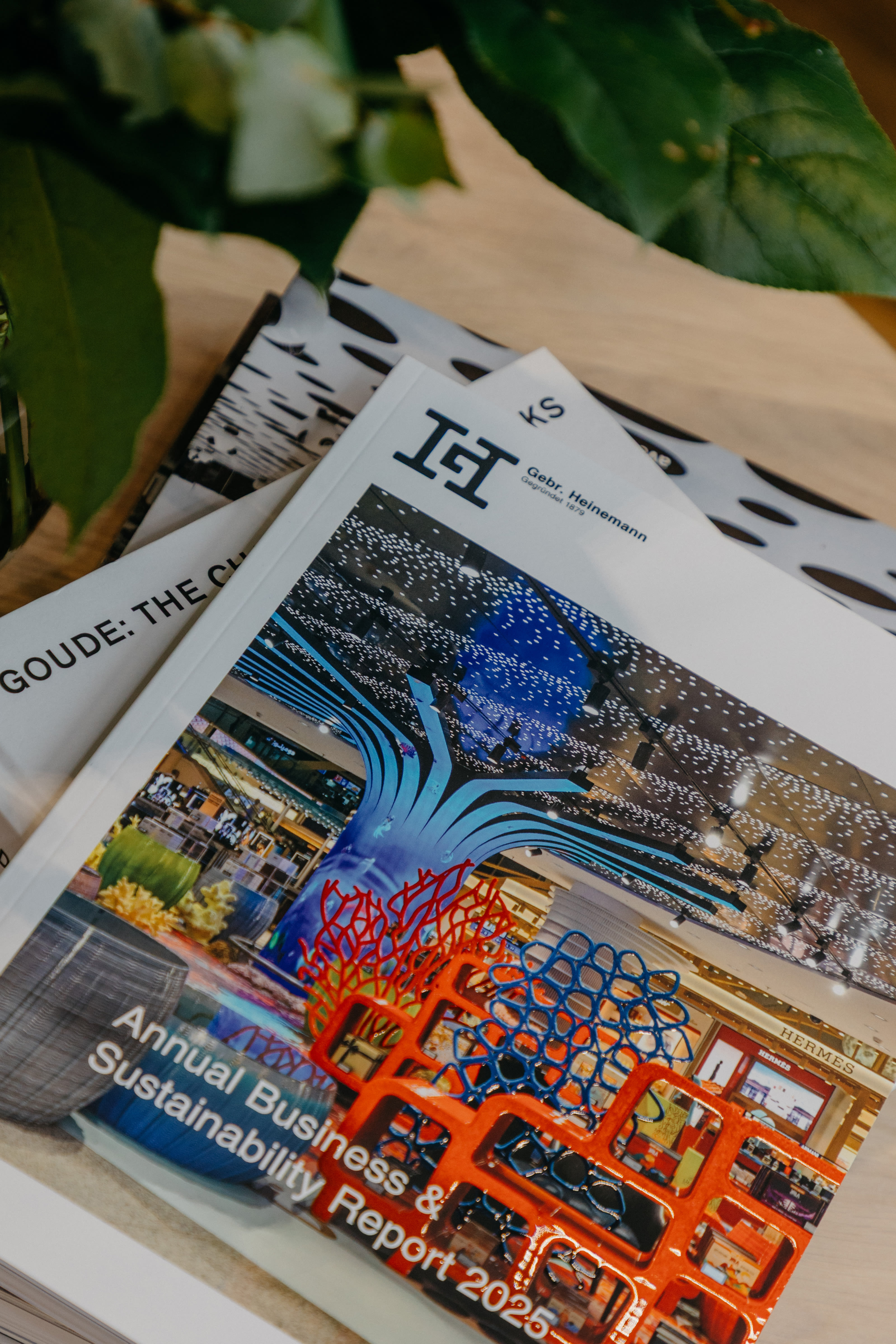 Annual Report 2025