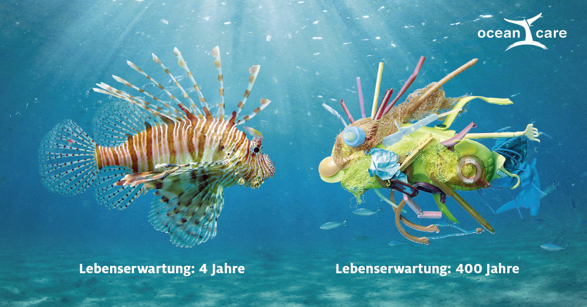 https://www.gebr-heinemann.de/var/corporate/storage/images/_aliases/k2000/1/0/1/5/605101-1-eng-GB/Feuerfisch_k2400.jpg