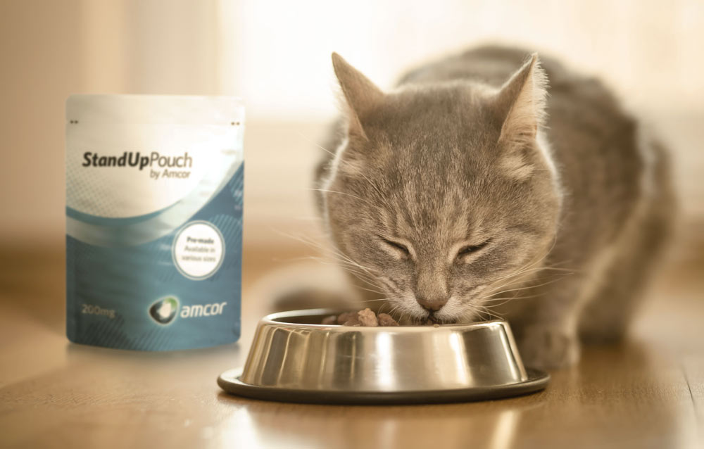 4 Pet Care Trends for 2020 | Amcor