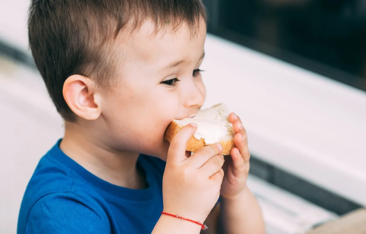 European dairy snackers