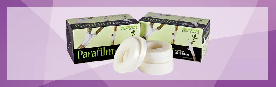 Grafting-Download-Page