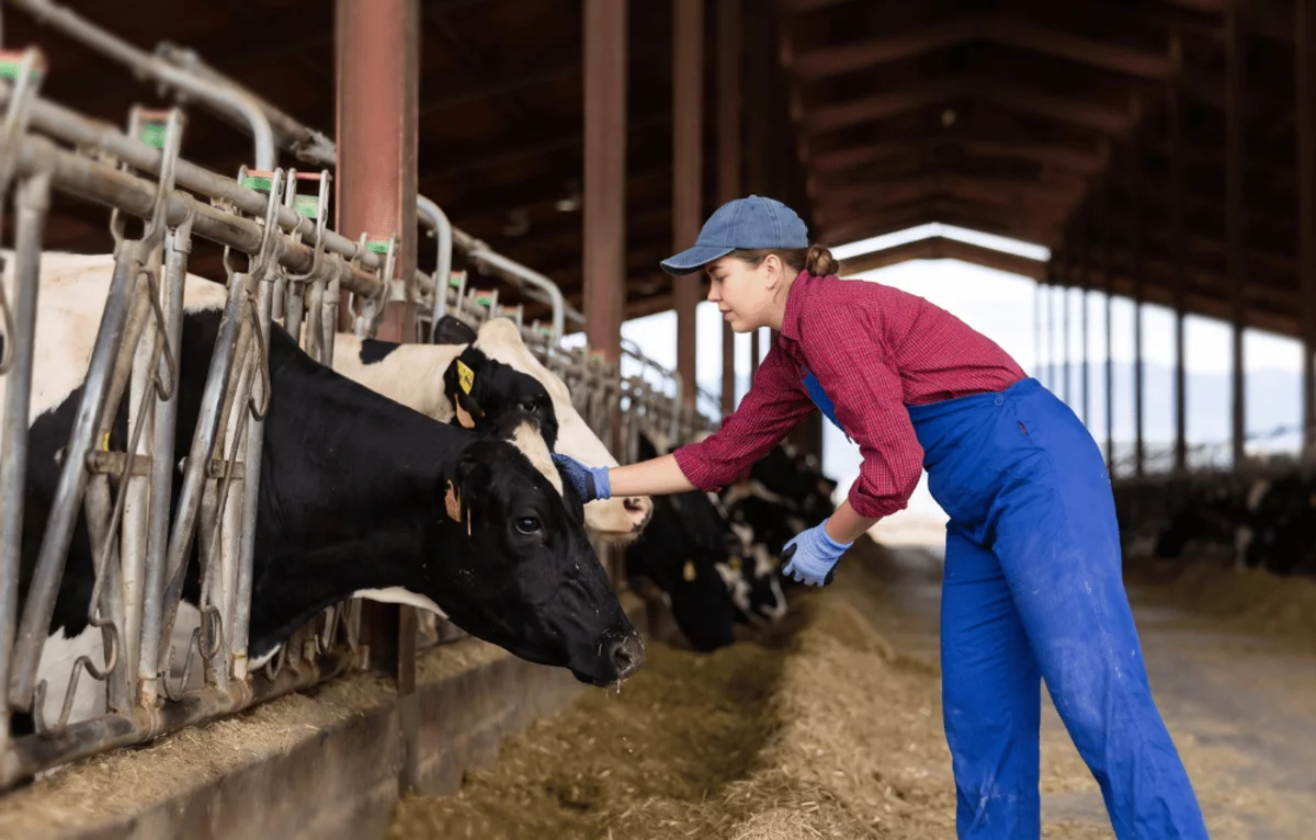 amcor-animal-feed