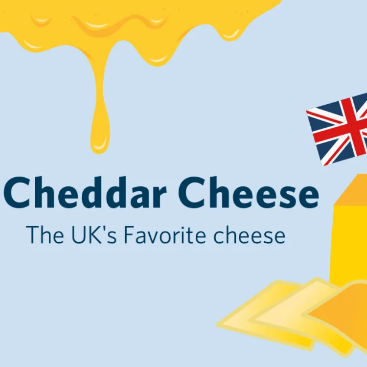 Cheddar Cheese 750x750