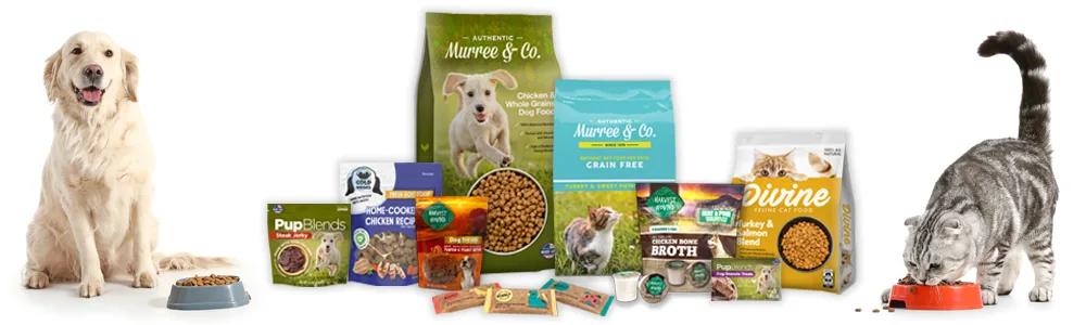 Pet-Book-Download-Header