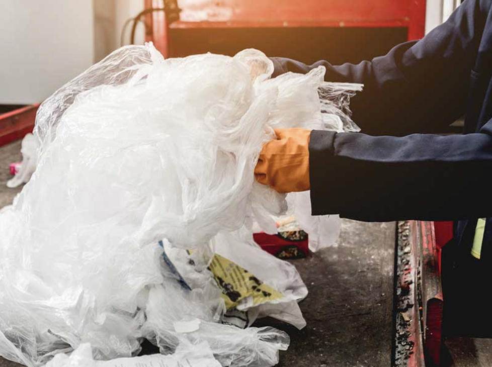 What we recycle?
