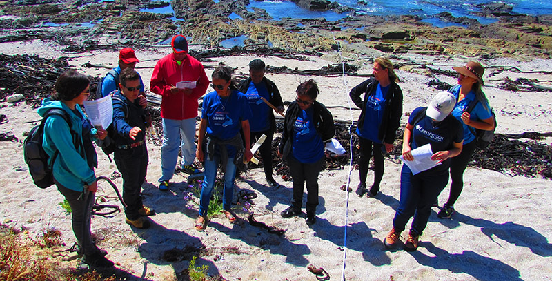 Amcor fellows and Cape Town staff learn transect methods
