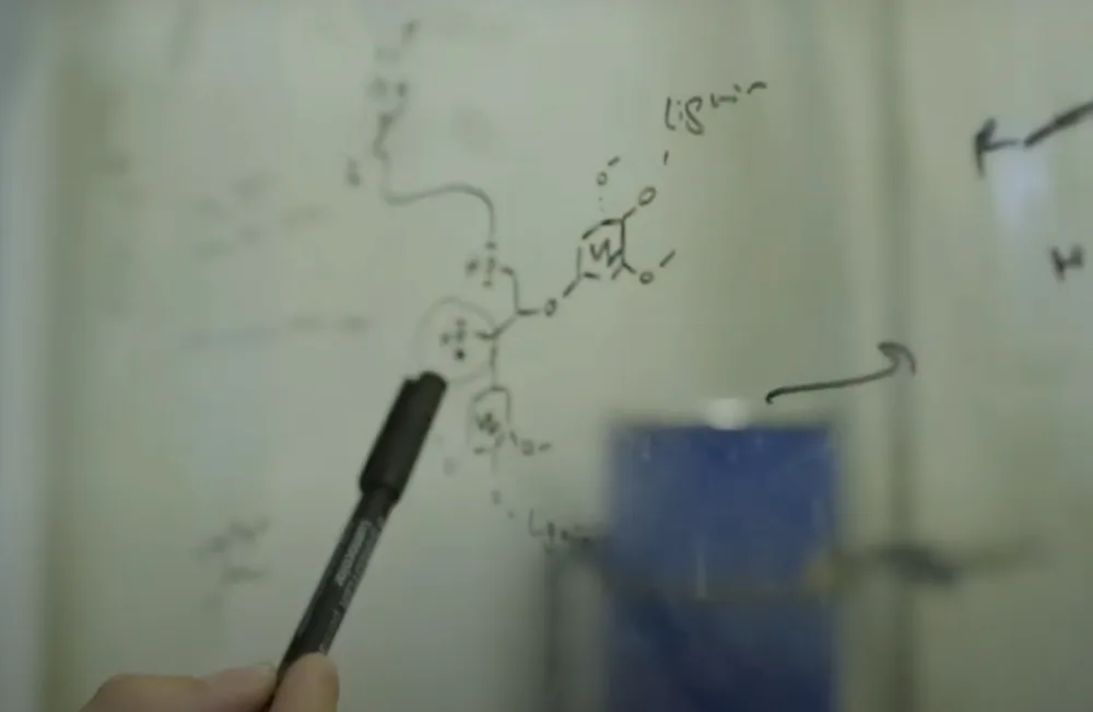 BloomBiorenewables1000x651