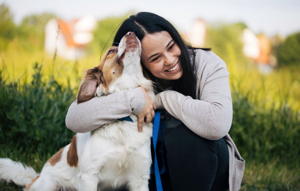 Pet care main