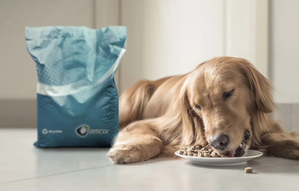 Pet Food Industry Trends 2021