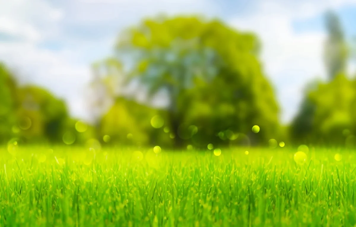 GettyImages-1364771784