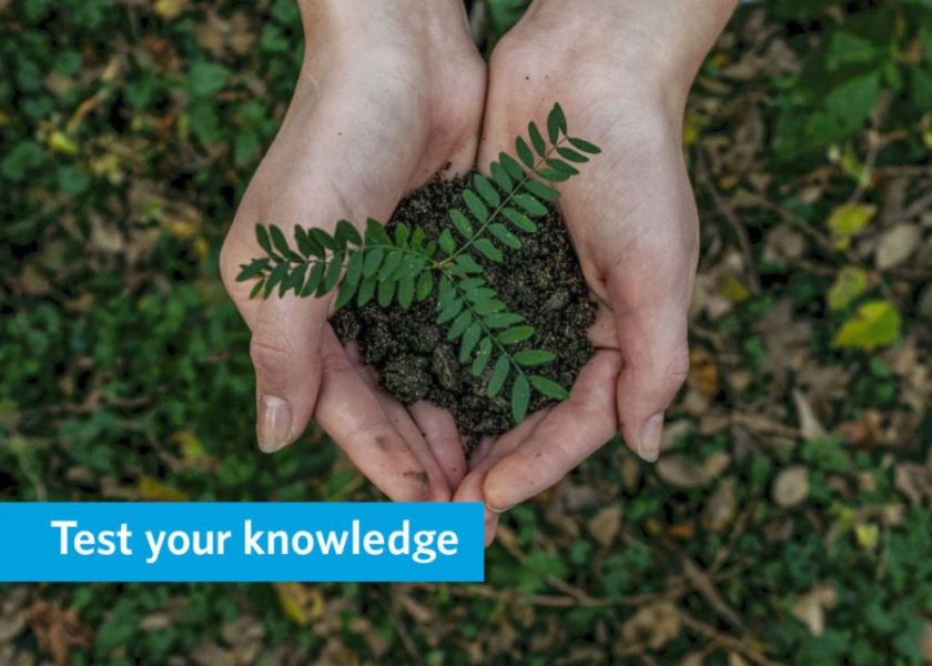 Test Your Sustainability Knowledge