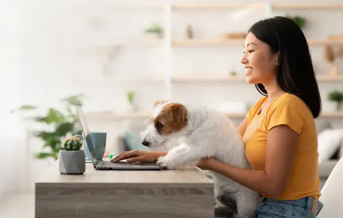 Pet care and pet care packaging 