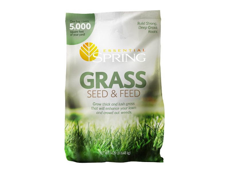 Grass Seed