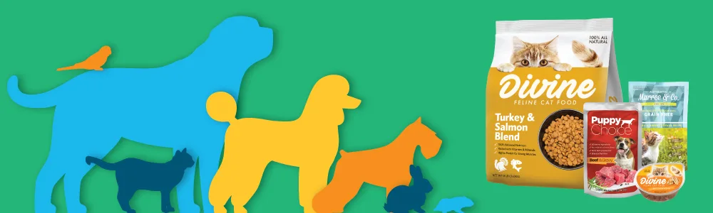 Petcare-Brochure-Header