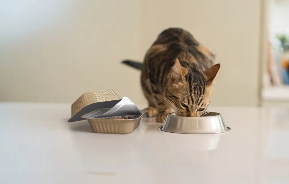 sustainable aluminium pet food packaging