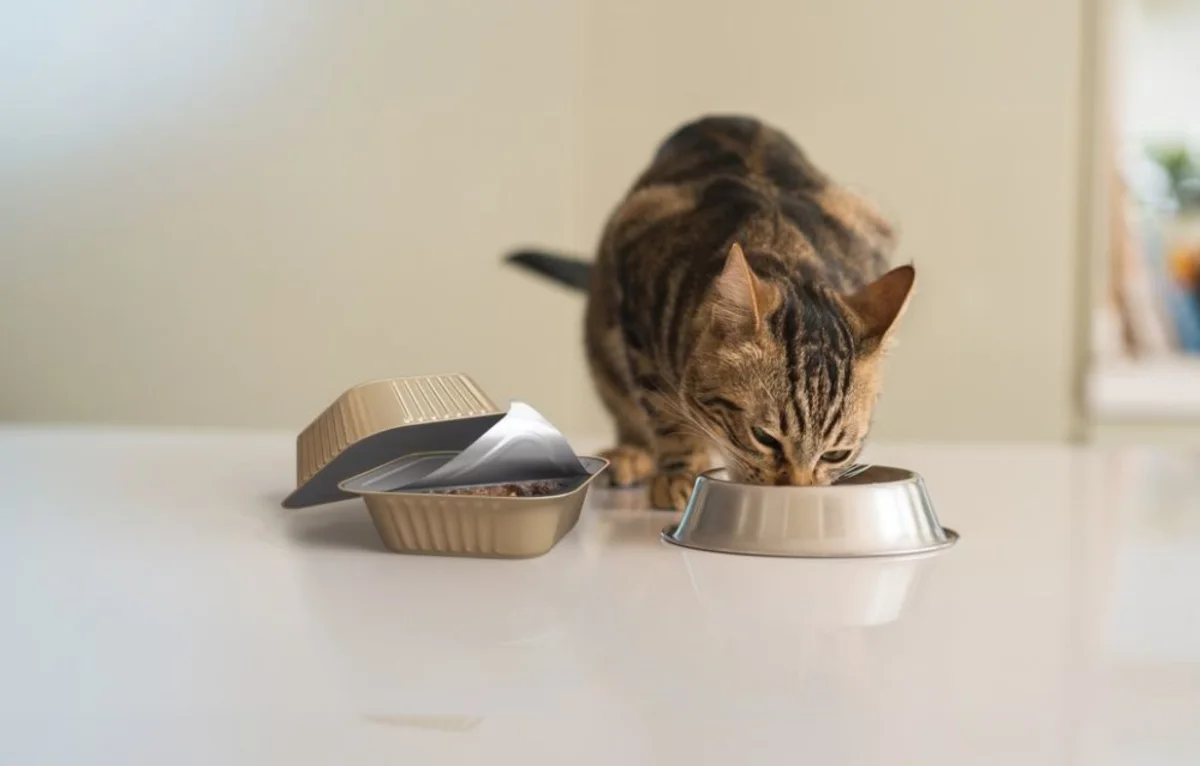 sustainable aluminium pet food packaging
