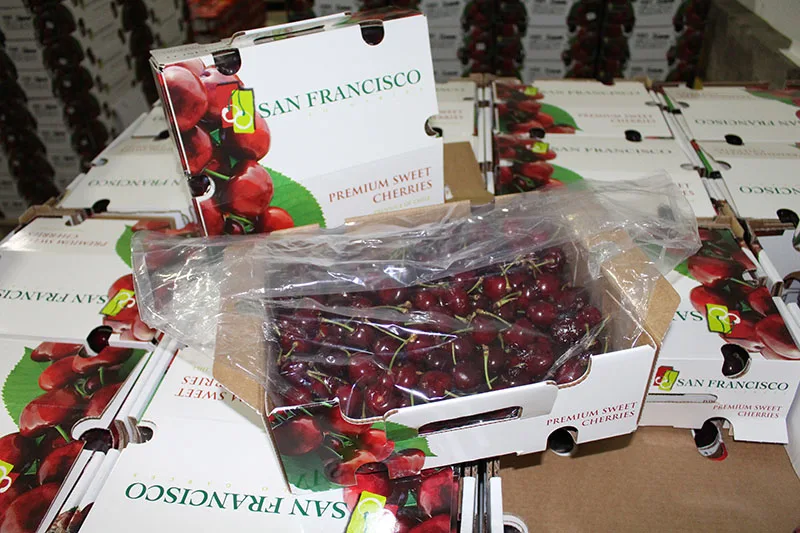 LifeSpan Heat Seal Box liners