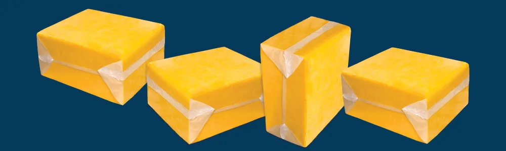 bulk-cheese-download-header