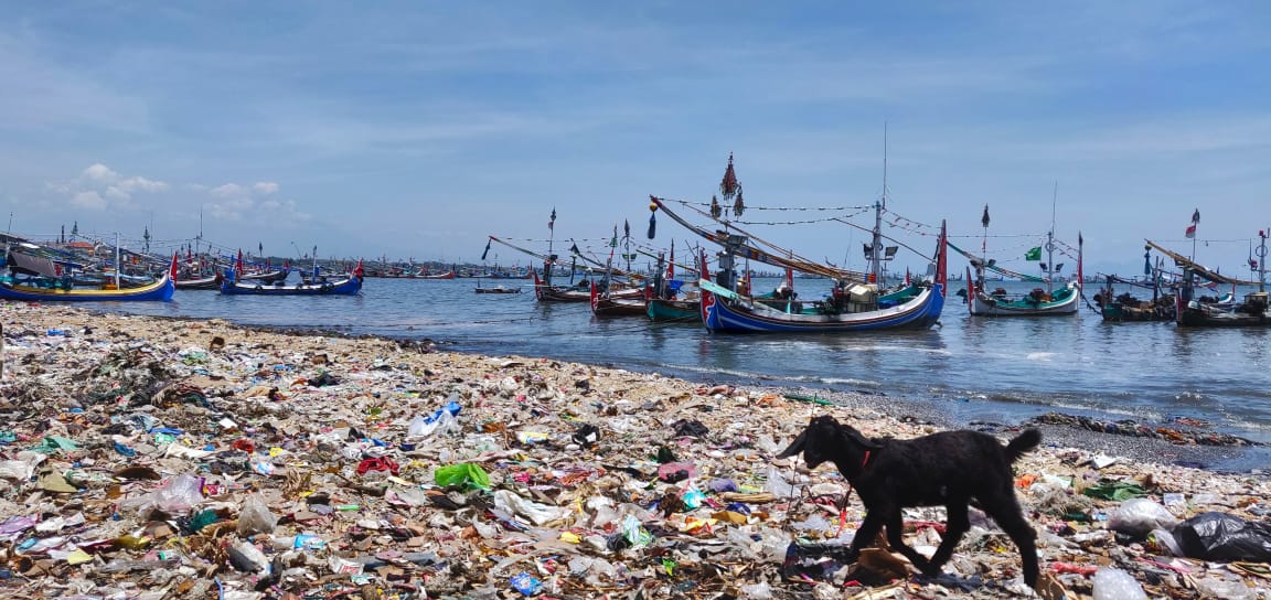 The impact of marine debris in 2019