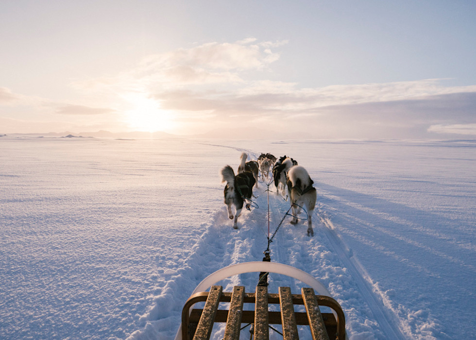 Dog sledding