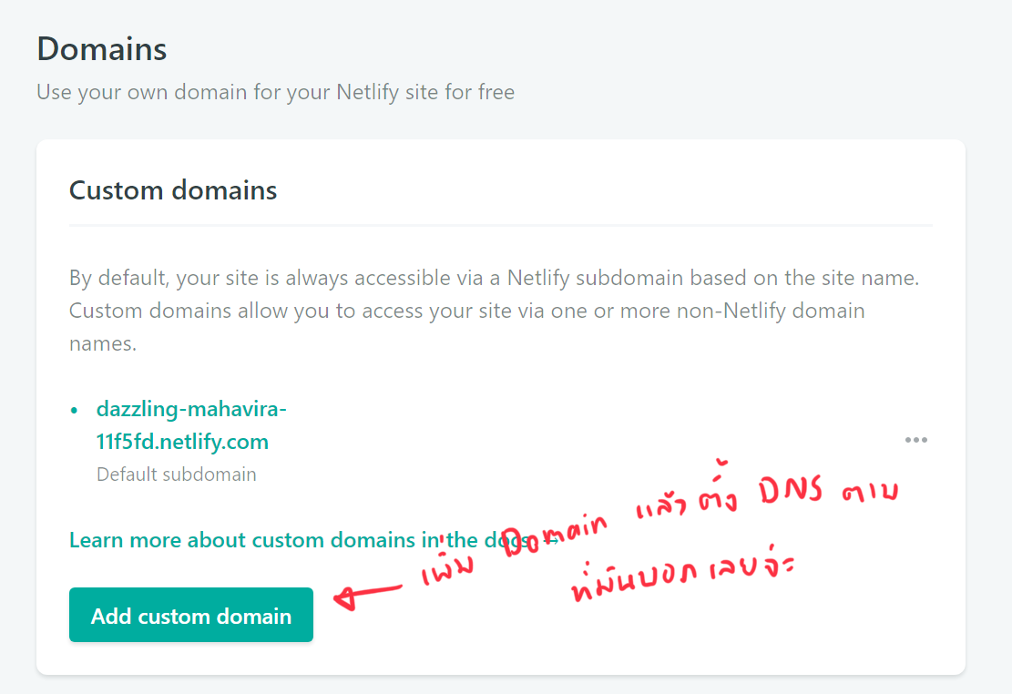 Custom Domain