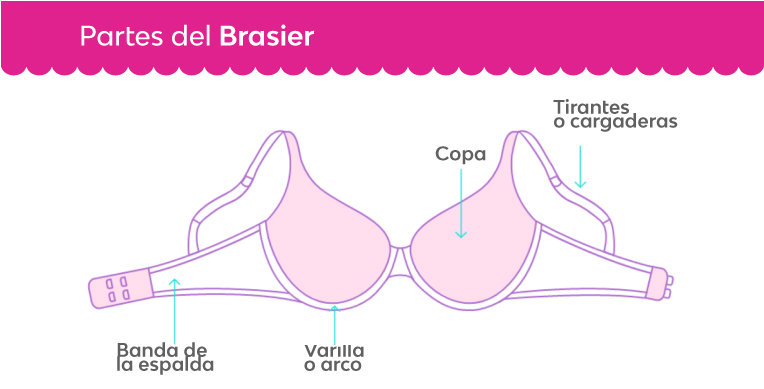 aprende-a-elegir-la-talla-correcta-de-brasier-nosotras-interna-2