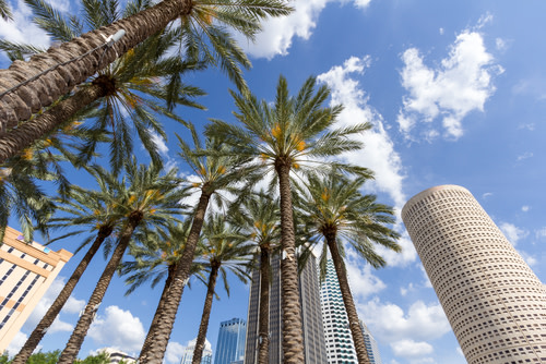 Best Cities for Remote Working