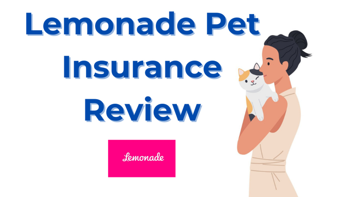 Lemonade Pet Insurance Review