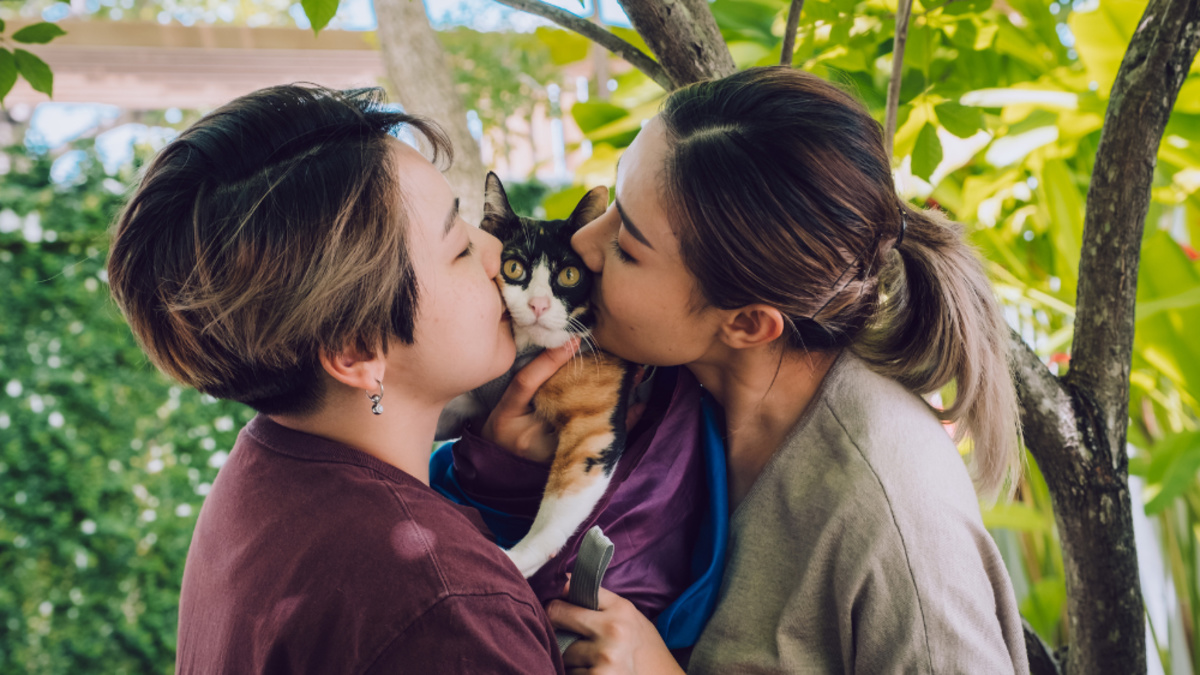 Is Pet Insurance Worth It for Me?