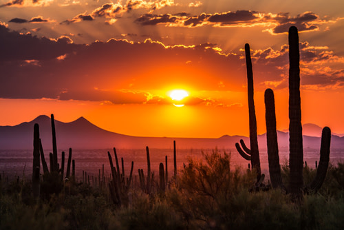 States with the Best Property Taxes