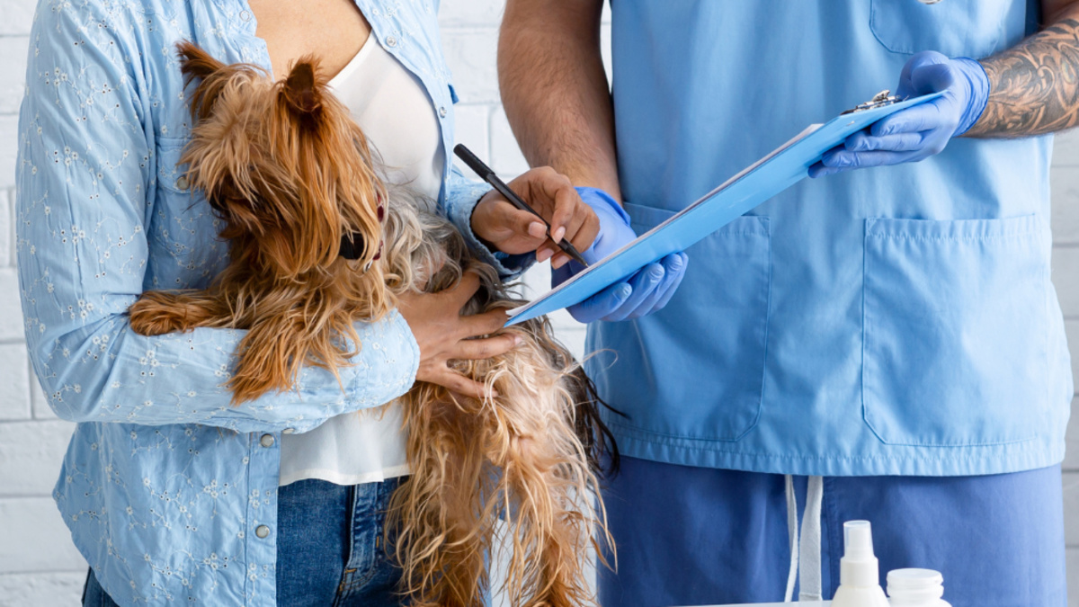 Best Pet Insurance for Pets with Pre-Existing Conditions
