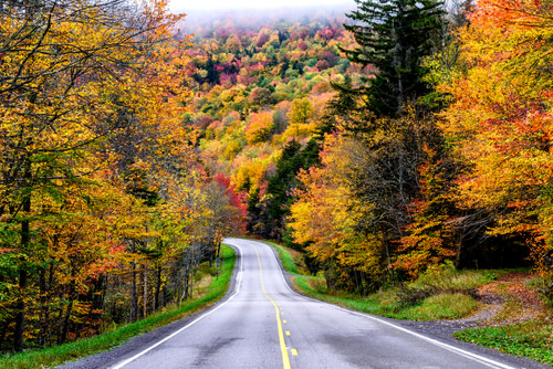 States with the Best Property Taxes