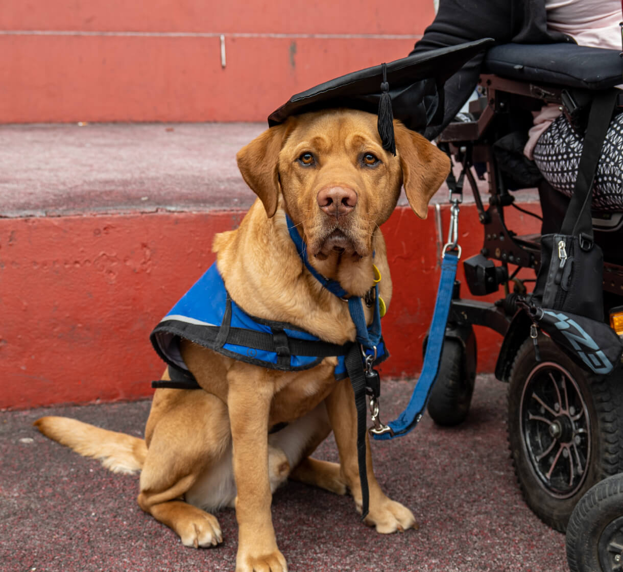 page5050-banner-image