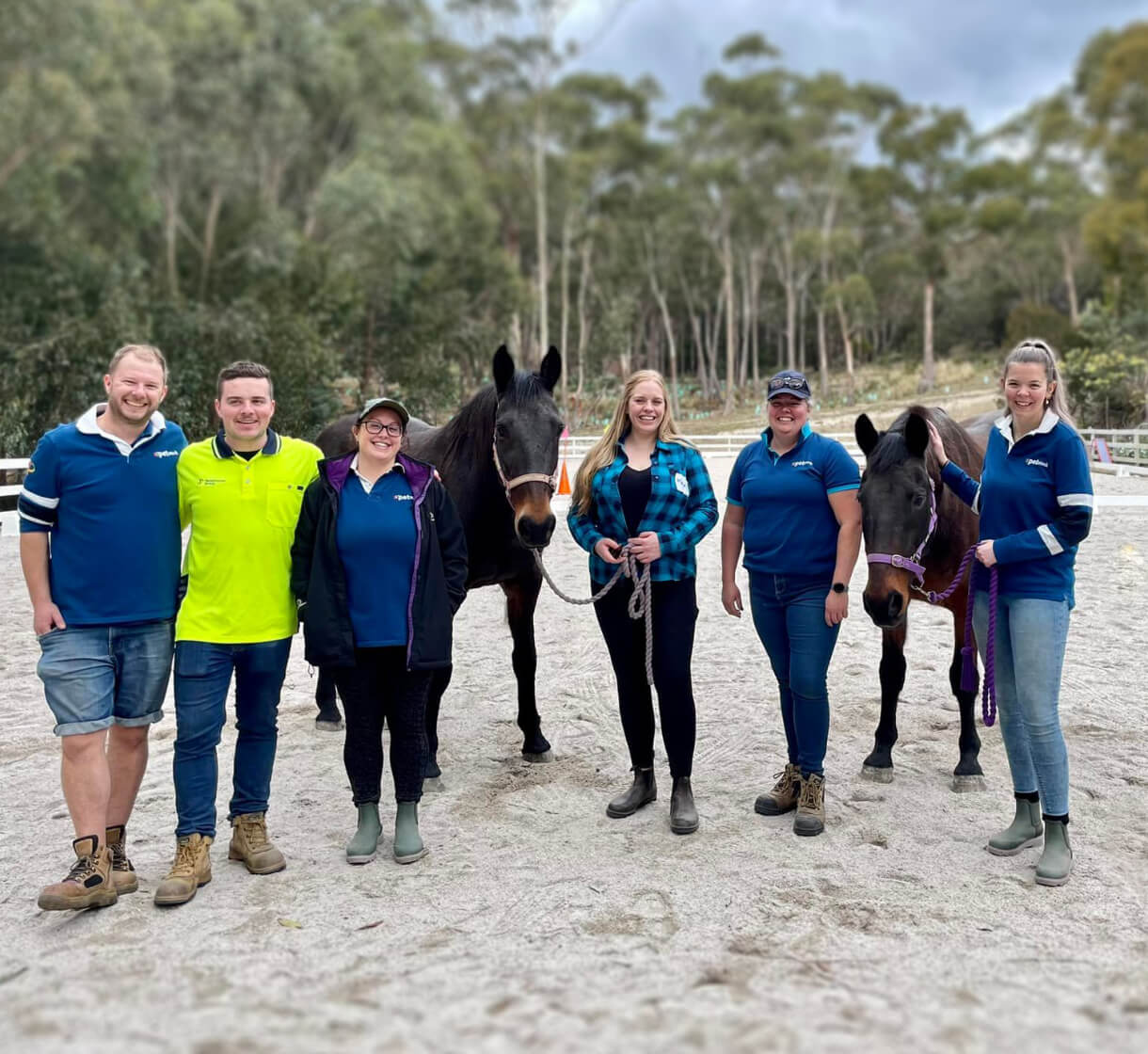 page5050-banner-image