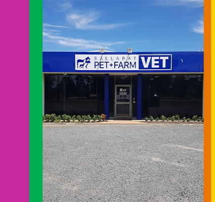 Ballarat Pet & Farm Vet | Petstock Group