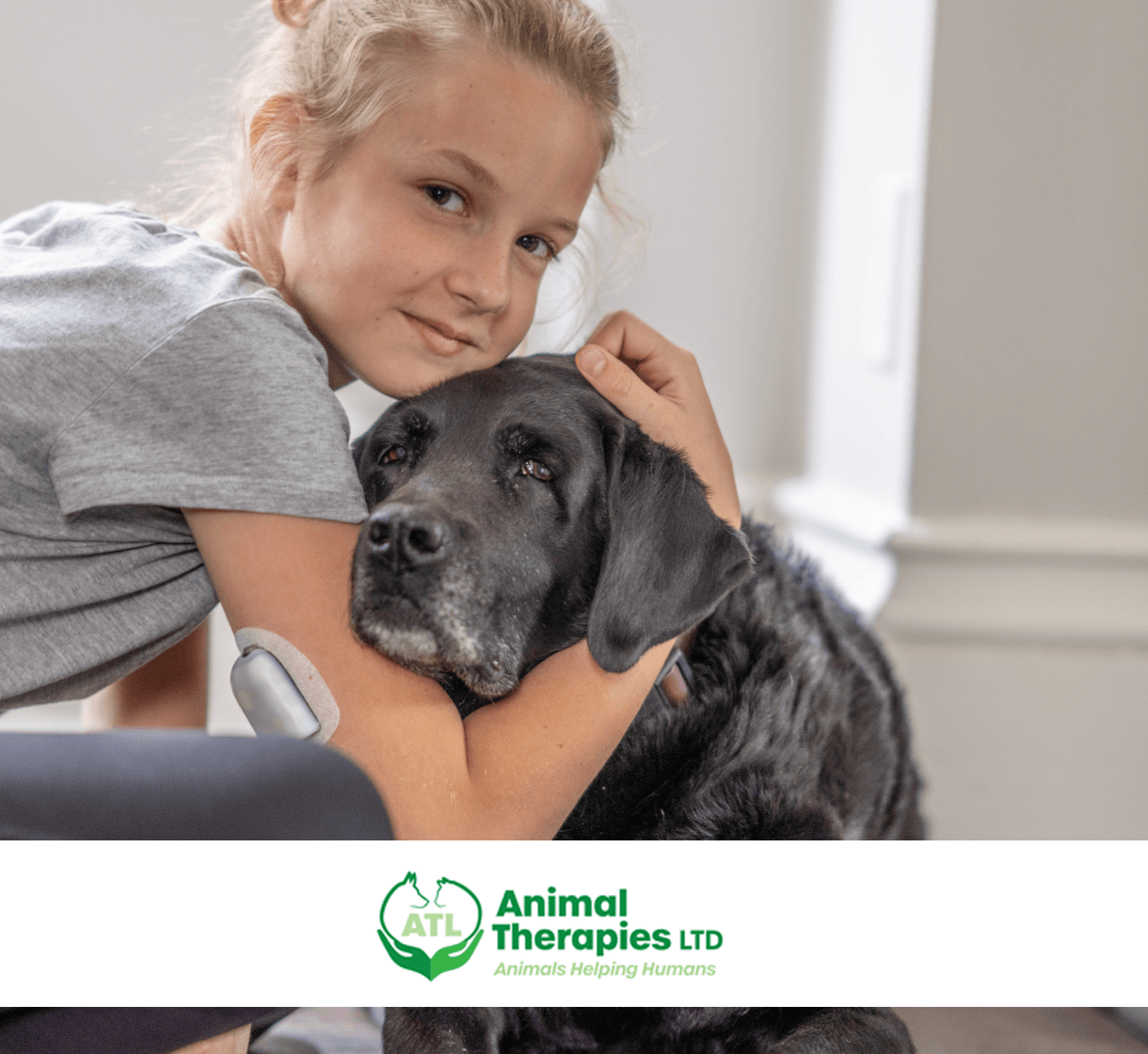 page5050-banner-image