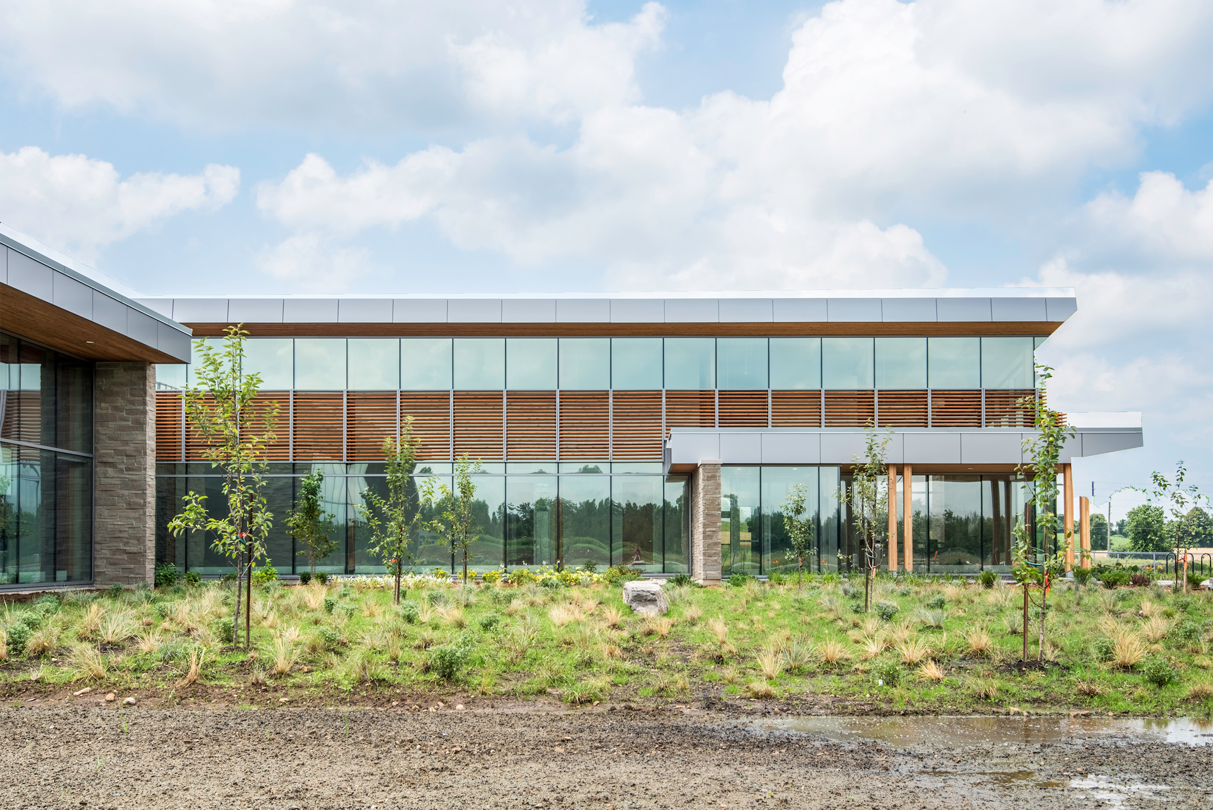 Halwell Mutual Insurance Melloul Blamey