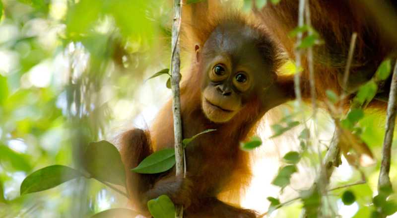 iF SOCIAL IMPACT PRIZE 2021: Apply now!