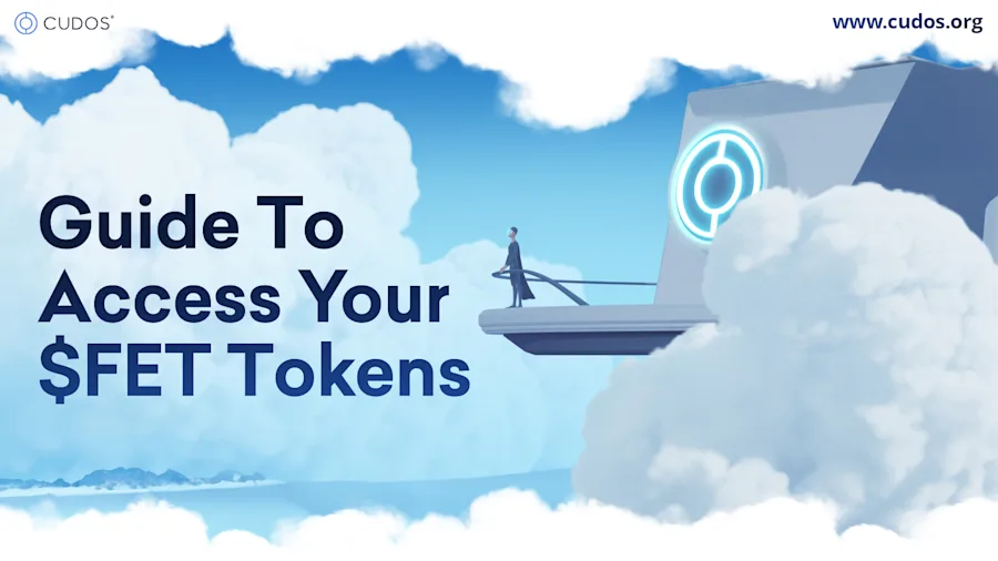 Guide To Access And Manage Your New FET Tokens