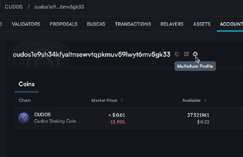 Guide To Access And Manage Your New FET Tokens