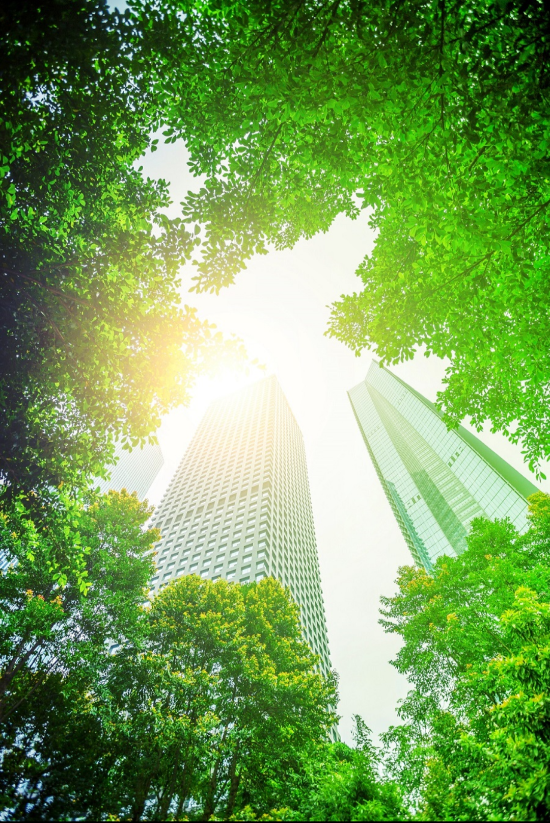 Featured image of post Johnson Controls recuerda el Día Mundial de la Ingeniería para el Desarrollo Sostenible y promueve el talento humano en ingeniería